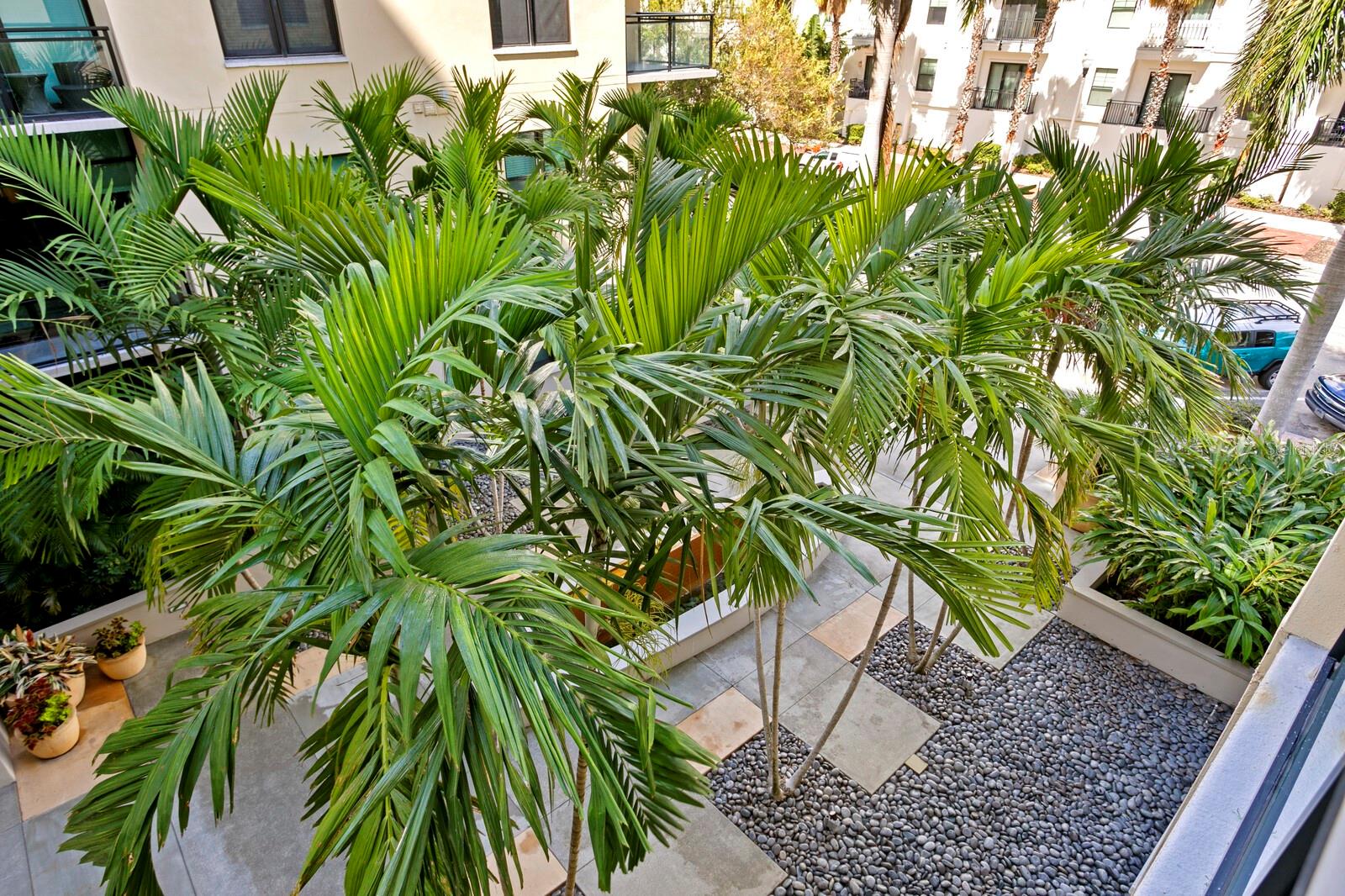 THE SAGE CONDO - Residential