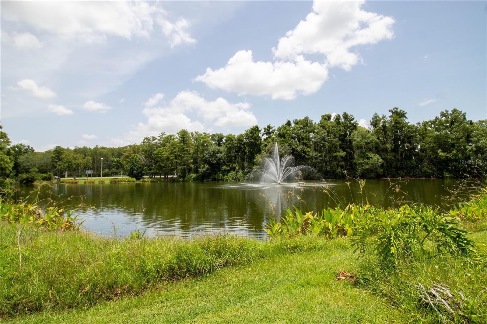 AUDUBON VILLAS AT HUNTERS CREEK CONDO - Residential