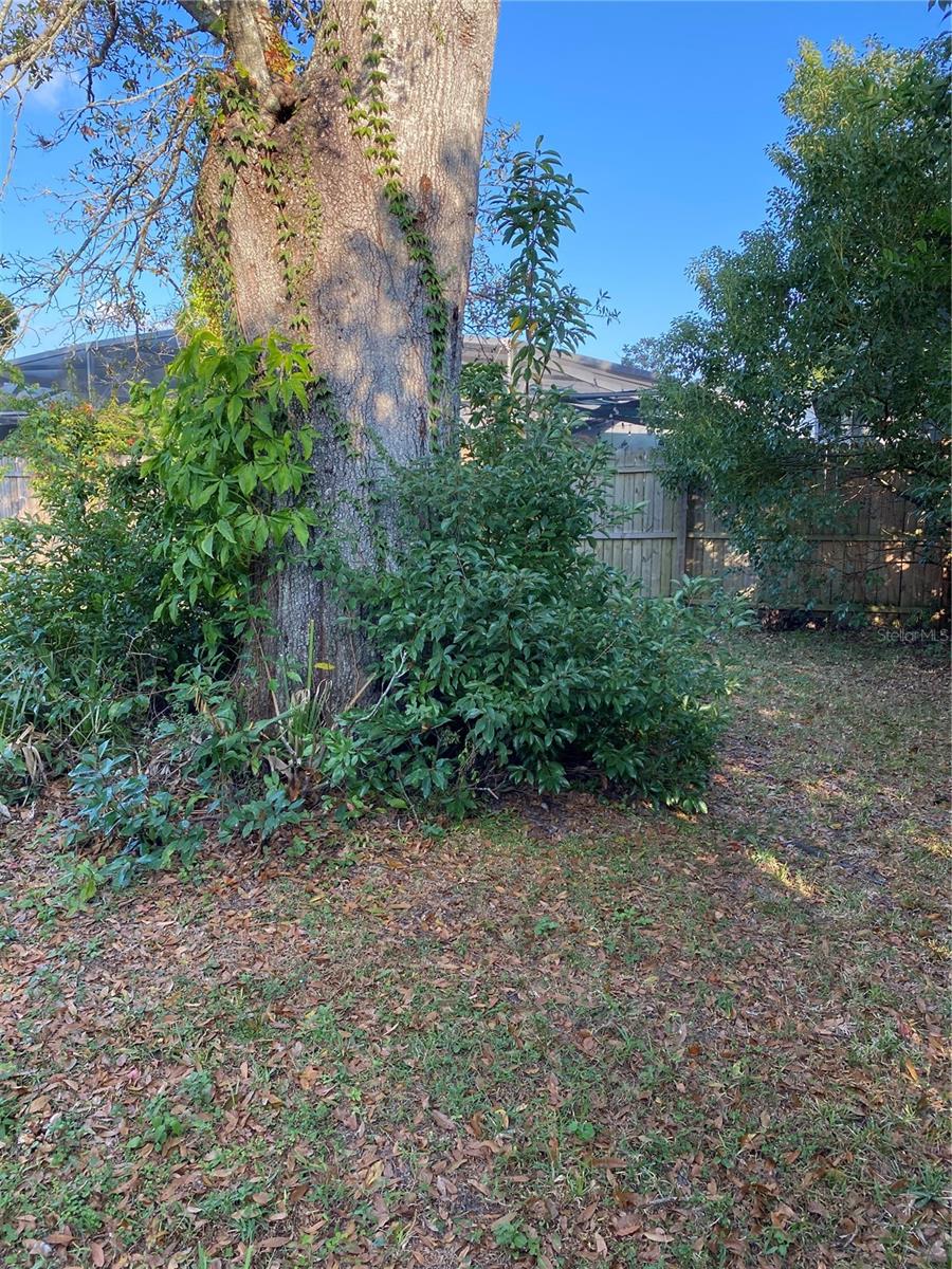 WOODCREST UNIT 01 - Residential