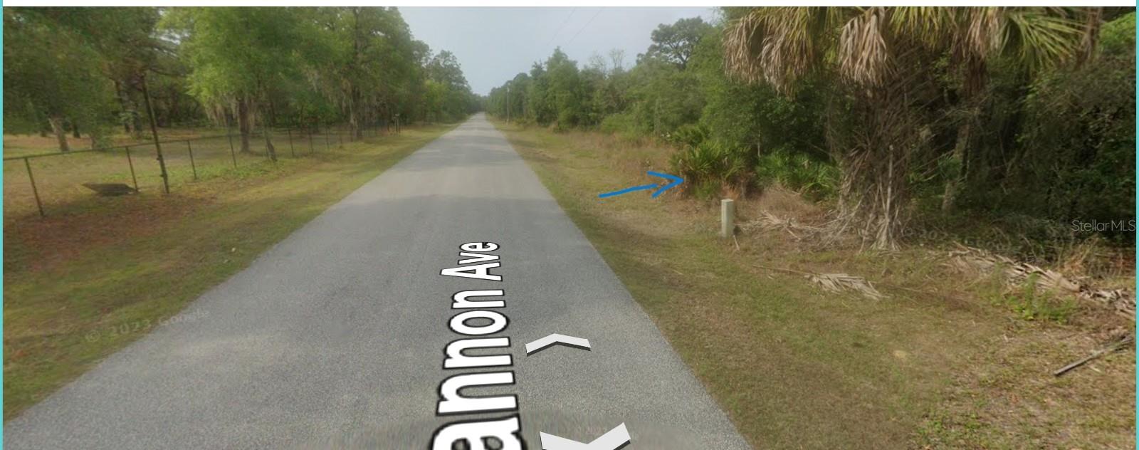Build your dream home on this 1.23-acre in the desirable Crystal Manor subdivision. Conveniently located just 7 minutes from downtown Crystal River, this high-and-dry property sits outside the flood zone, offering peace of mind and long-term value. you will get plenty of spaces space for boats, and ATVs RVs with paved road access and electric service available at the street. Surrounded by newly constructed homes in a growing neighborhood, this lot is also just a short drive from Florida’s top natural attractions, including Rainbow River State Park and Three Sisters Springs.