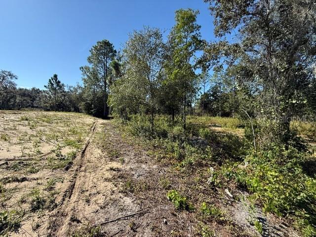6123 OIL WELL ROAD