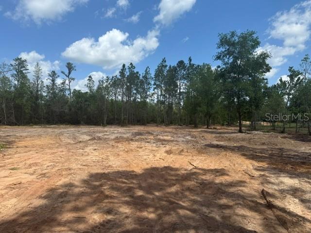 6123 OIL WELL ROAD
