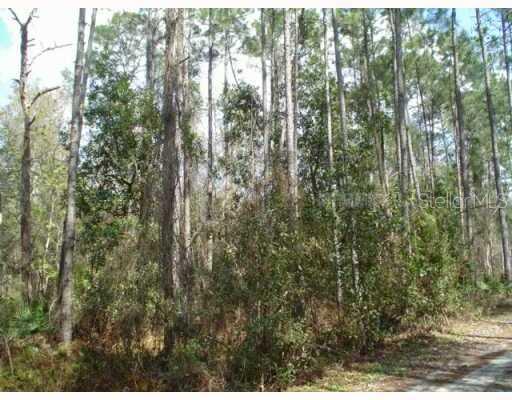 Great location, easy access to shopping, new school, hospital, and I 75 land survey available, space to live, work and play.