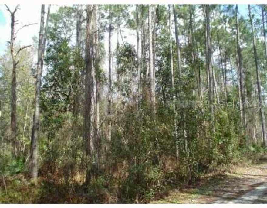 Great location, easy access to shopping, new school, hospital, and  I 75 land survey available, space to live, work and play.