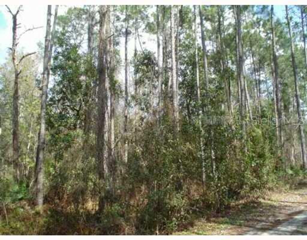 Photo of Zephyrhills, FL 33544 (MLS # T2505952)