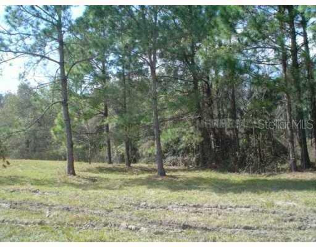 Photo of Zephyrhills, FL 33544 (MLS # T2505952)