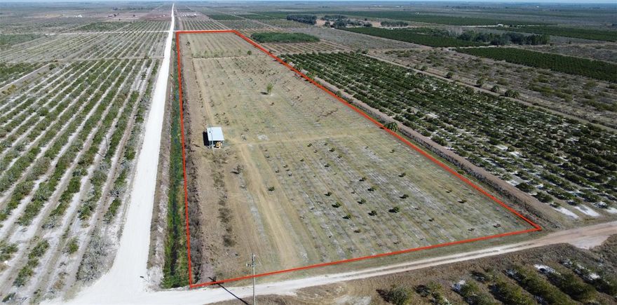 Exceptional opportunity to own 20 acres of fully irrigated agricultural land currently planted in a diverse variety of tropical and specialty fruit trees. This established grove offers excellent potential for continued agricultural use or expansion of an existing operation. A detailed inventory of tree varieties and counts is available in the attached documents.
The property is supported by a 6” diesel-powered well providing a strong and reliable water source for irrigation. Electric service is available on site, adding convenience for agricultural operations. A 63x10 pole barn provides functional storage for equipment and supplies.
Productive acreage with infrastructure in place and room to grow.