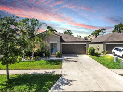 Photo of 12817 Wildflower Meadow Drive, Riverview, FL 33579 (MLS # TB8406555)
