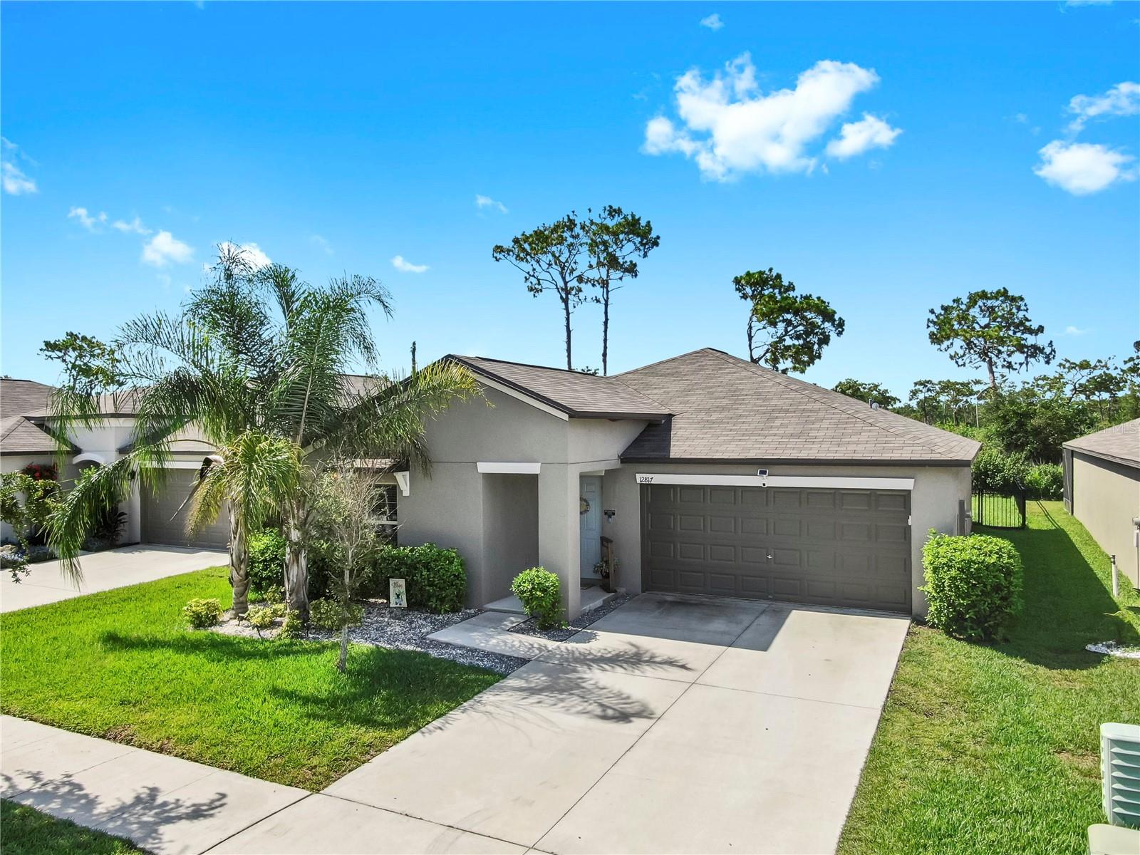12817 WILDFLOWER MEADOW DRIVE