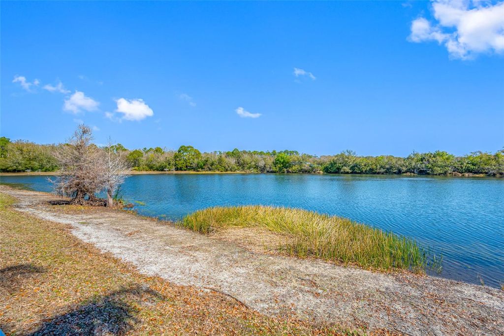 Photo of 8713 Imperial Court, Tampa, FL 33635 (MLS # TB8481581)