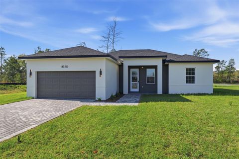 Tiny photo for 4510 SW 155th Street, Ocala, FL 34473 (MLS # O6394796)