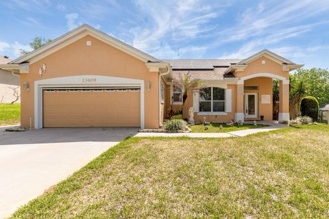 13409 VIA ROMA CIRCLE CLERMONT FL 34711