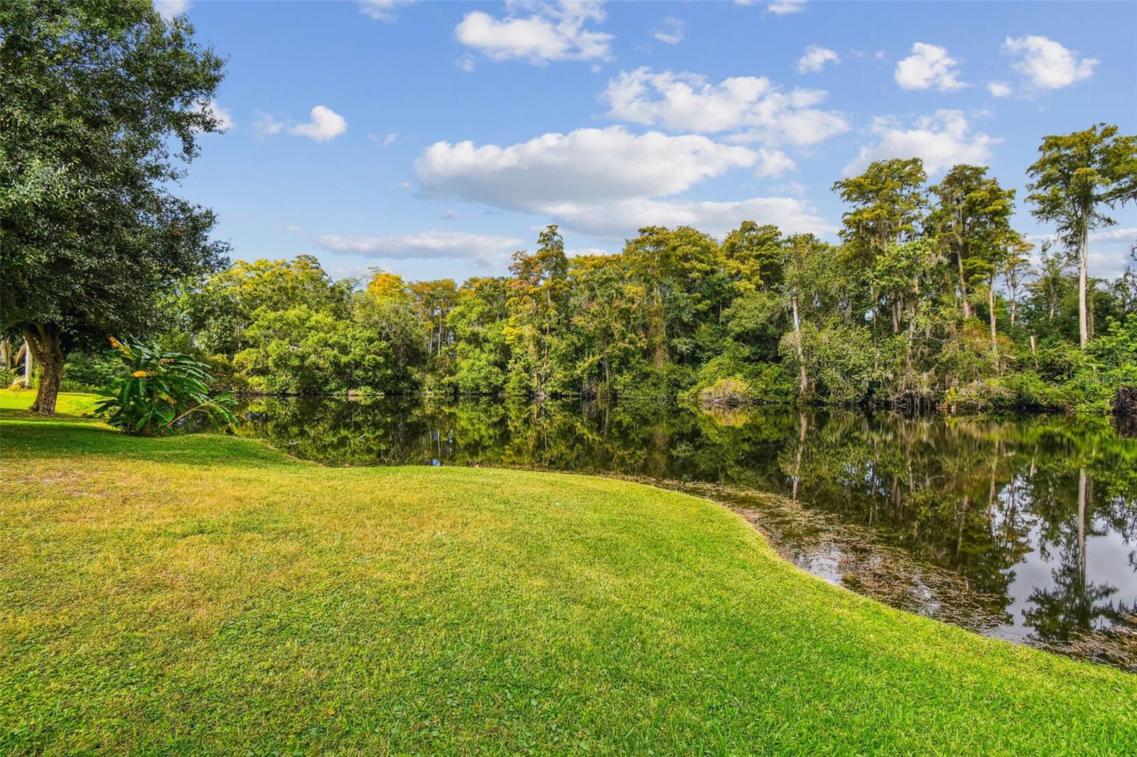 PARK LAKE ESTATES - Residential