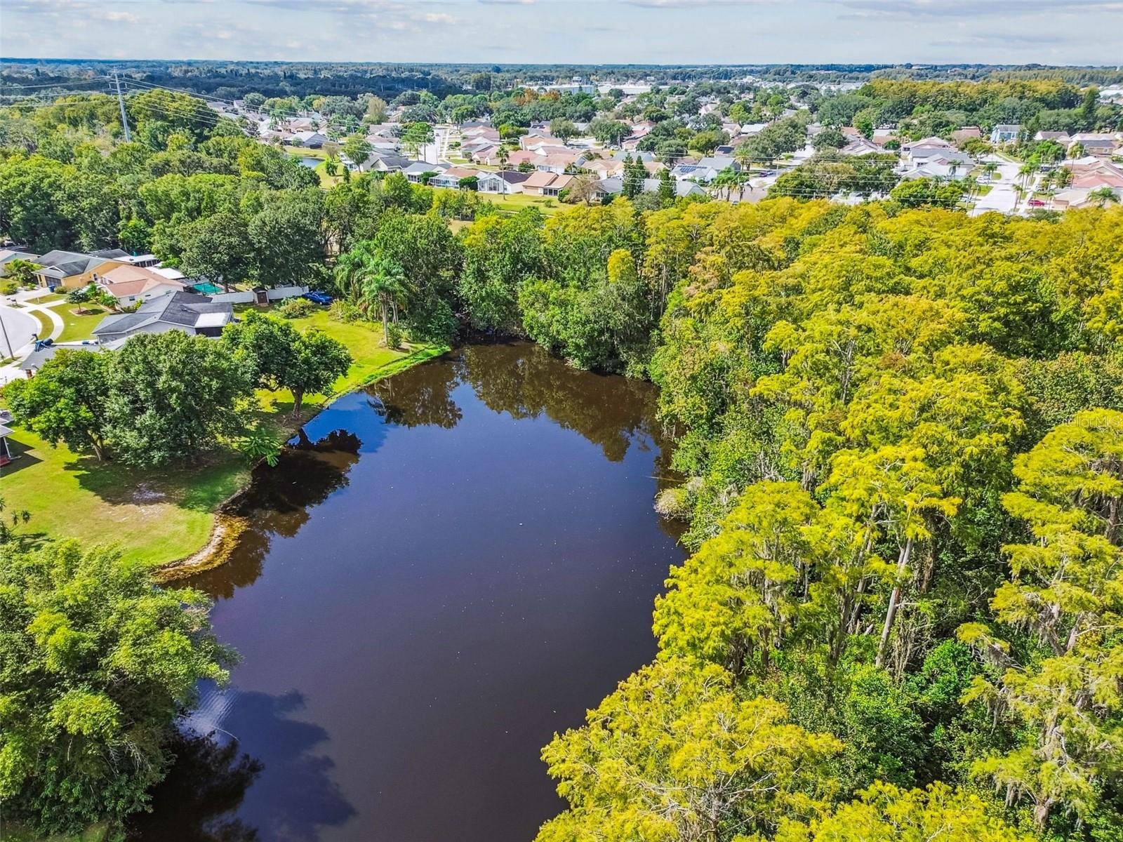 PARK LAKE ESTATES - Residential