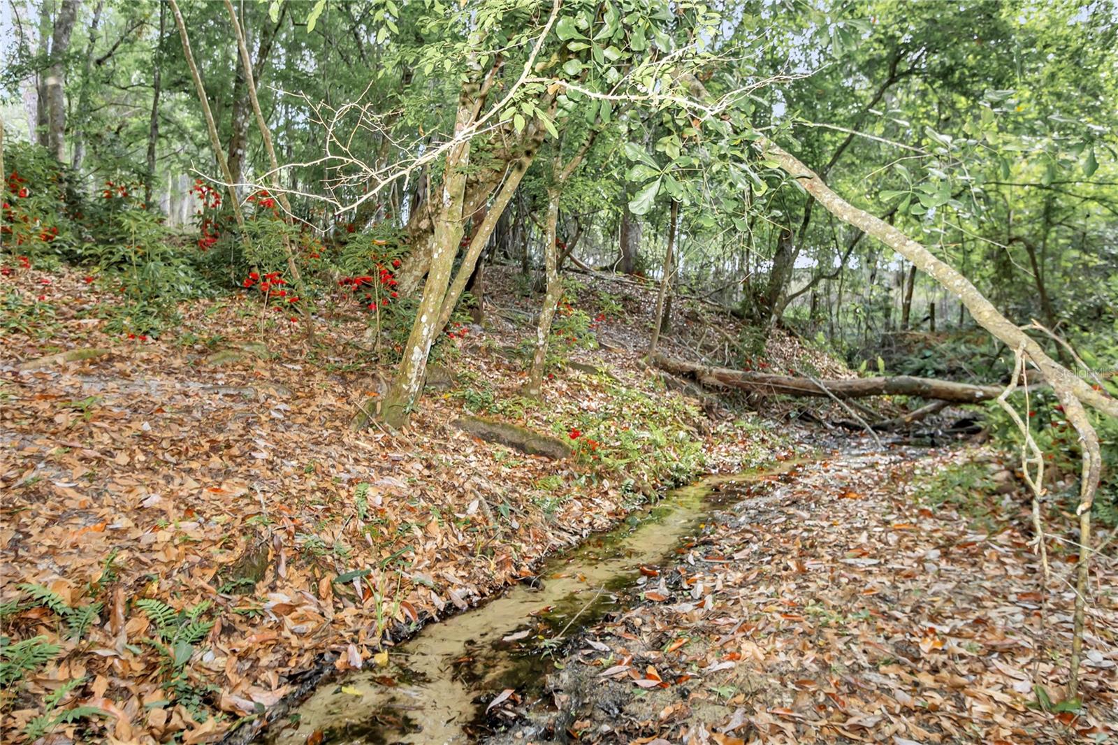 ROSE TERRACE - CLASS 1 SUB - Residential