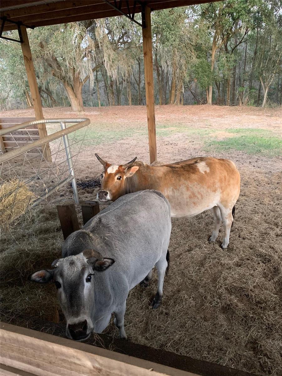 ROSE TERRACE - CLASS 1 SUB - Residential