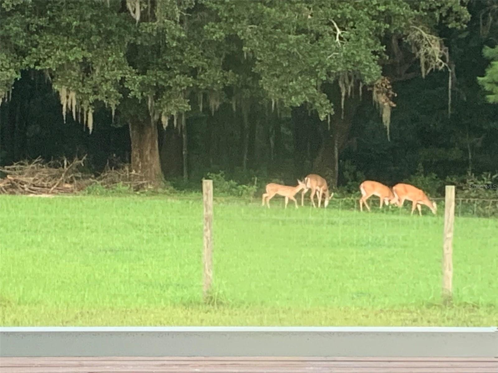 ROSE TERRACE - CLASS 1 SUB - Residential