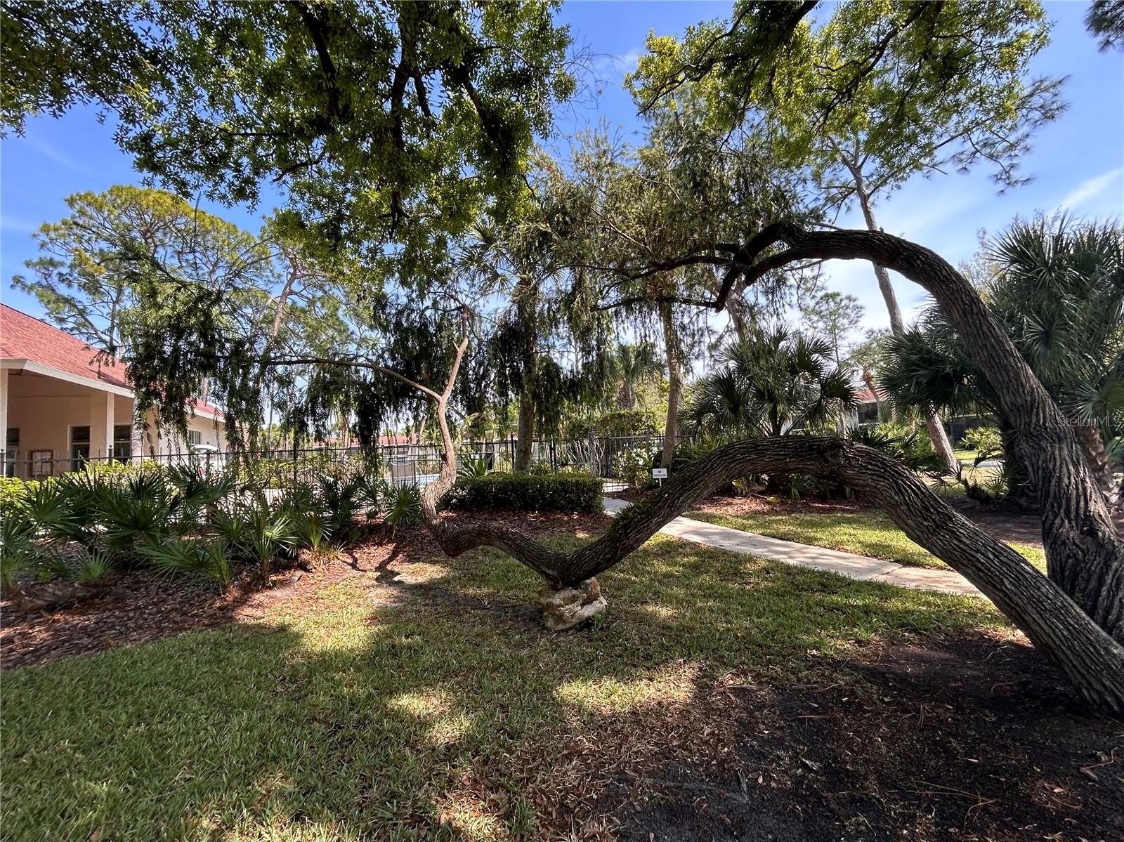 PARK VIEW - Residential