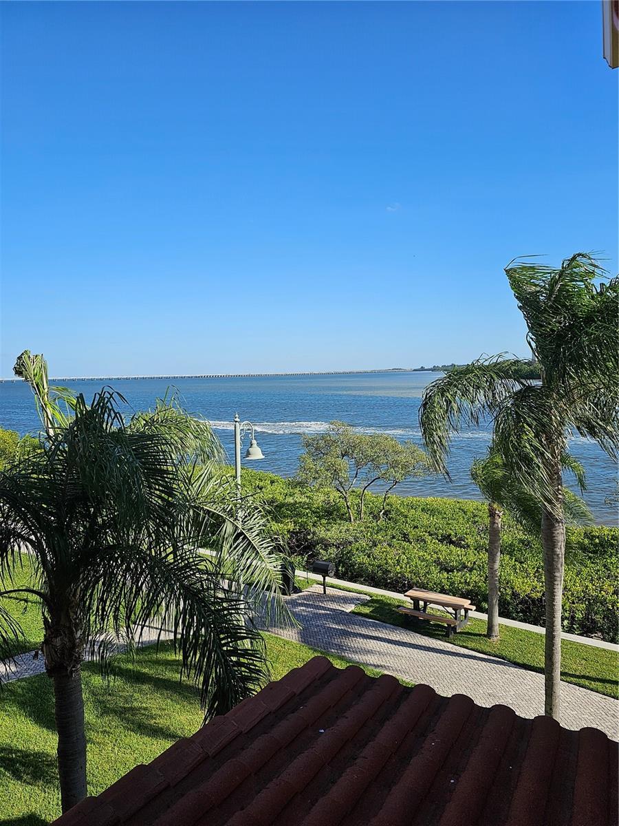 View CLEARWATER, FL 33764 condo