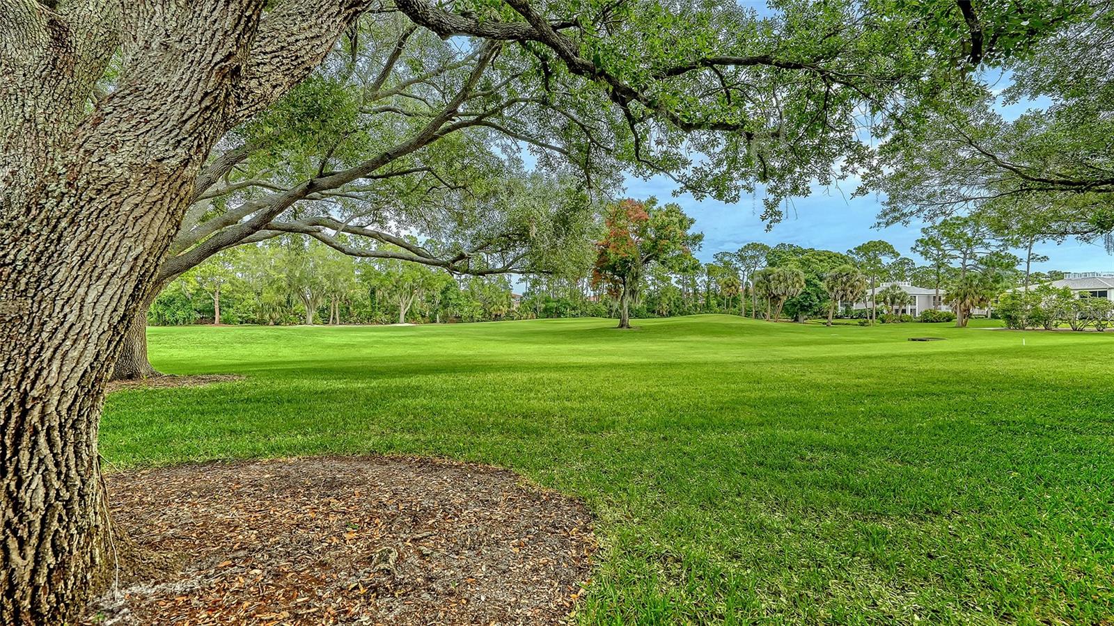 KINGSMERE - Residential
