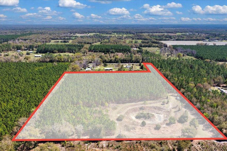 14.44 acres located in the heart of Levy County WITH active power and well, an awesome rock pit (typically nearly half full of water) and timber is approx 8 years old! What an investment , perfect to make your next home site among the pines, your next hunting property OR just buy the dirt and sit on it and harvest timber in the next 10-12 years! YOU can not go wrong with this location, located in the beautiful country side of Chiefland Florida right on CR 341, minutes to town and a short drive to Cedar Key, our own little coastal gem. Property has a gorgeous private drive down the pines and at the very back you got this awesome man made rock pit (typically full of water), shed for storage, active power and well, with majority of the acreage 8 year old pines. This property is breath taking! Call today for YOUR tour!