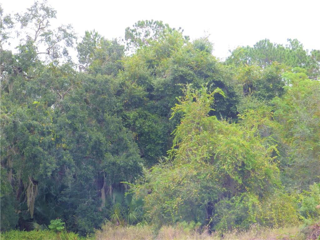 FRUITLAND PARK - Commercial Sale