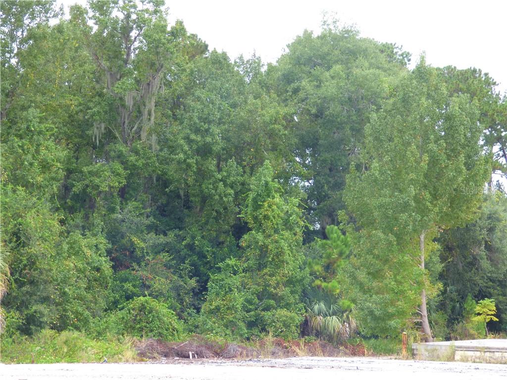 FRUITLAND PARK - Commercial Sale