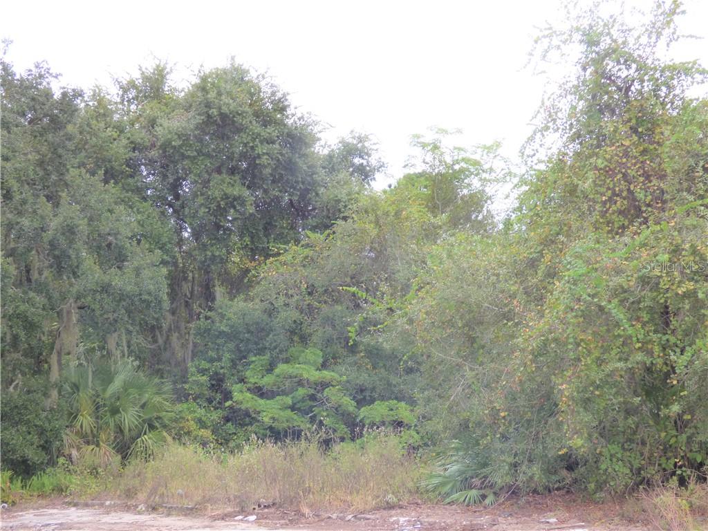 FRUITLAND PARK - Commercial Sale