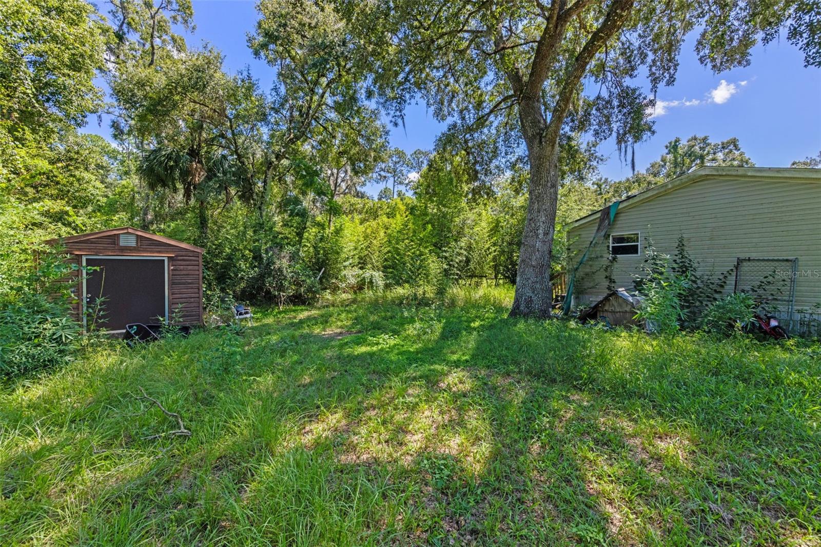 OCALA FOREST CAMPSITES 03 - Residential