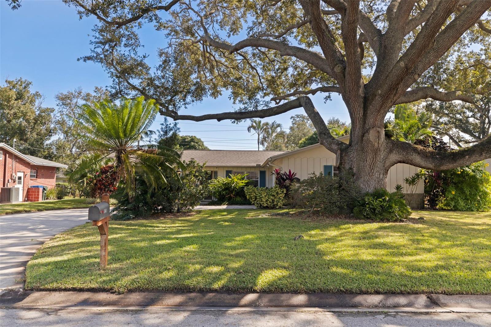 KEENE GROVES - Residential