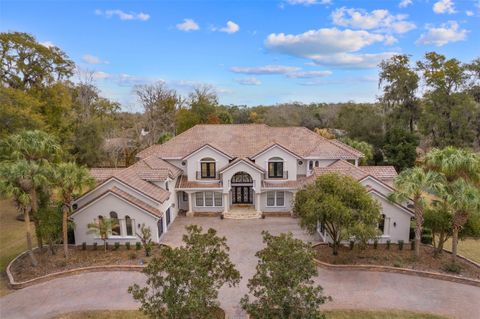 Photo of 3409 SE 17th Court, Ocala, FL 34471 (MLS # OM720287)