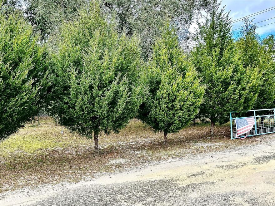 Discover the perfect blend of country charm and convenience with this 1.34-acre vacant lot in Chiefland, Florida. Cleared, fully fenced and gated, and ready for your dream home, this property offers a head start with a lime rock driveway already in place and a shed for storage or workspace. Enjoy the beauty and bounty of established fruit trees, including persimmons, grapes, grapefruit, and other citrus varieties, adding both character and functionality to the land. The lot has many mature cedar trees providing a beautiful boundary and is situated on a county-maintained paved road, providing easy access while still offering a peaceful, rural setting. Whether you’re looking to build a full-time residence, a weekend retreat, or an investment property, this spacious parcel offers endless possibilities in a growing area of Levy County. Bring your plans and start building right away—this property is truly ready for its next chapter.