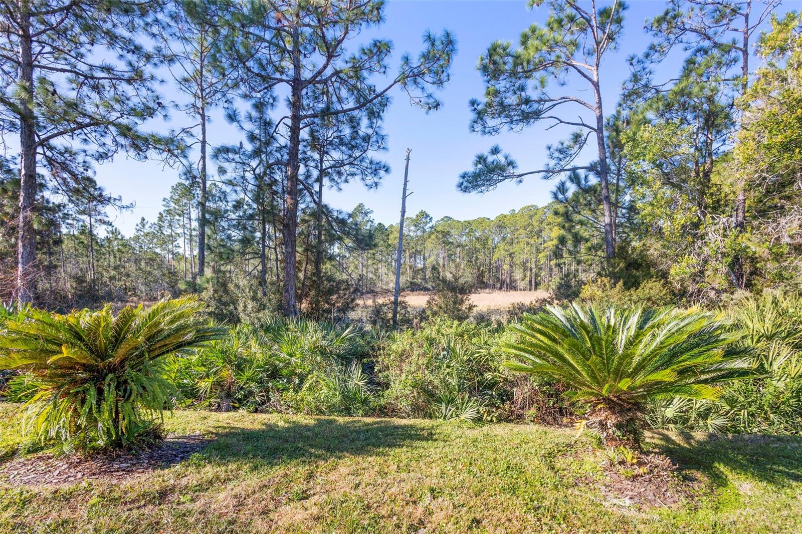 VICTORIA PARK INCREMENT 02 - Residential