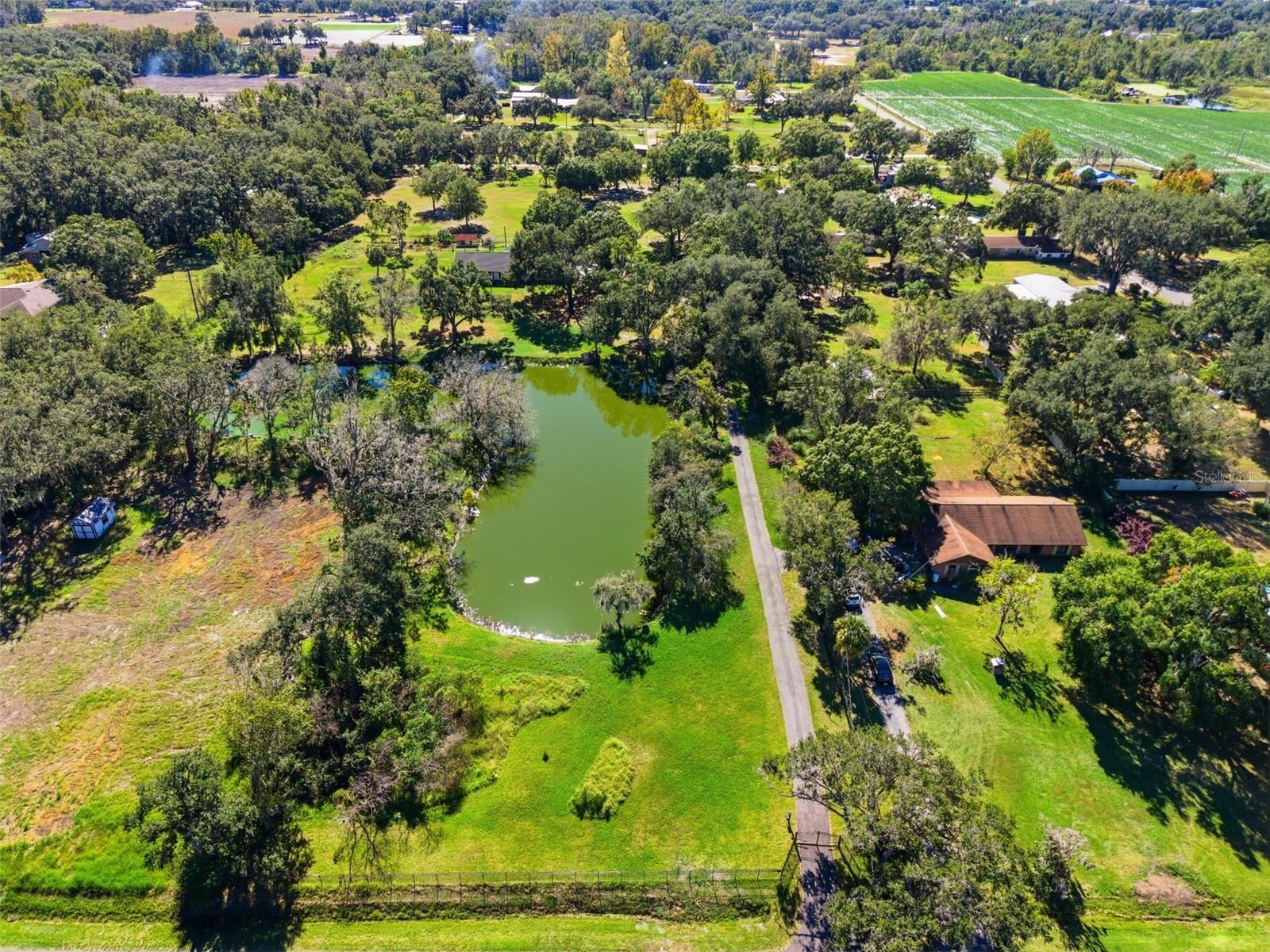 SINGLETON SURV FOR A MINOR - Residential