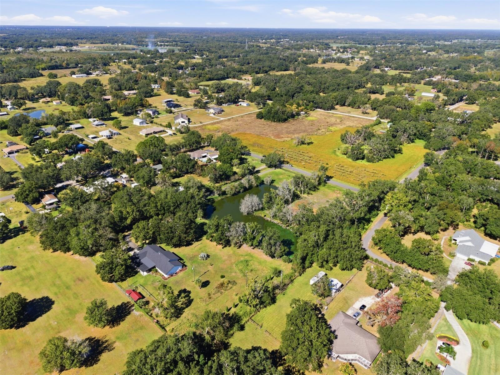 SINGLETON SURV FOR A MINOR - Residential