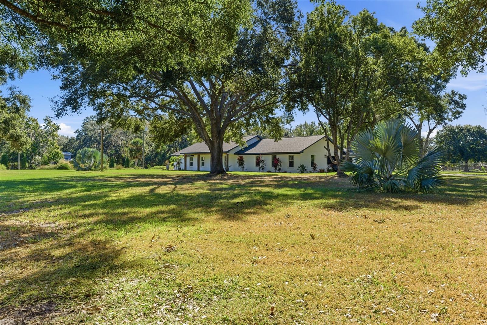 SINGLETON SURV FOR A MINOR - Residential