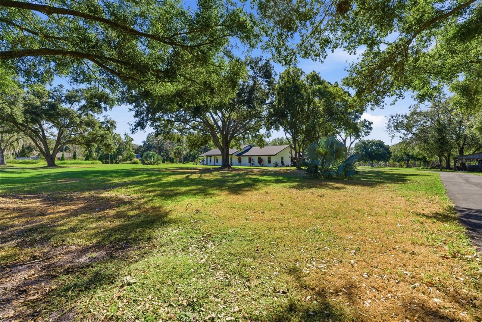 SINGLETON SURV FOR A MINOR - Residential