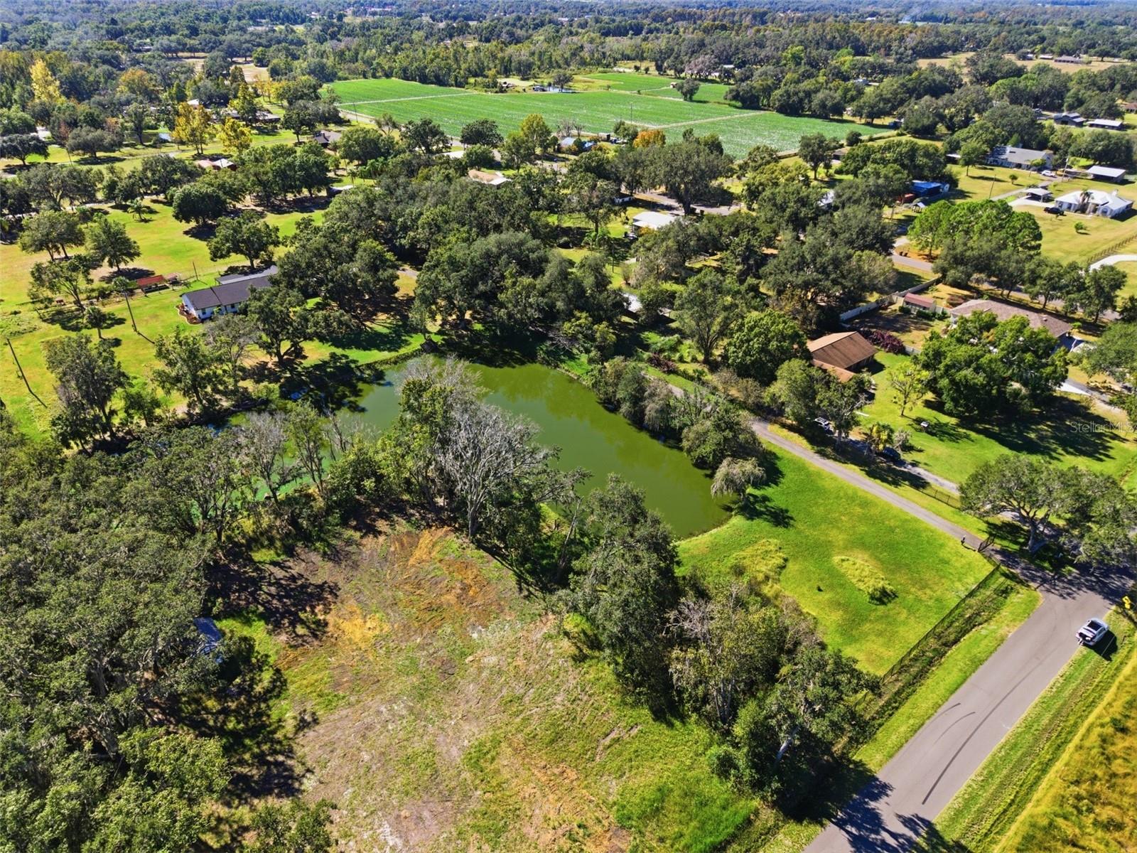 SINGLETON SURV FOR A MINOR - Residential