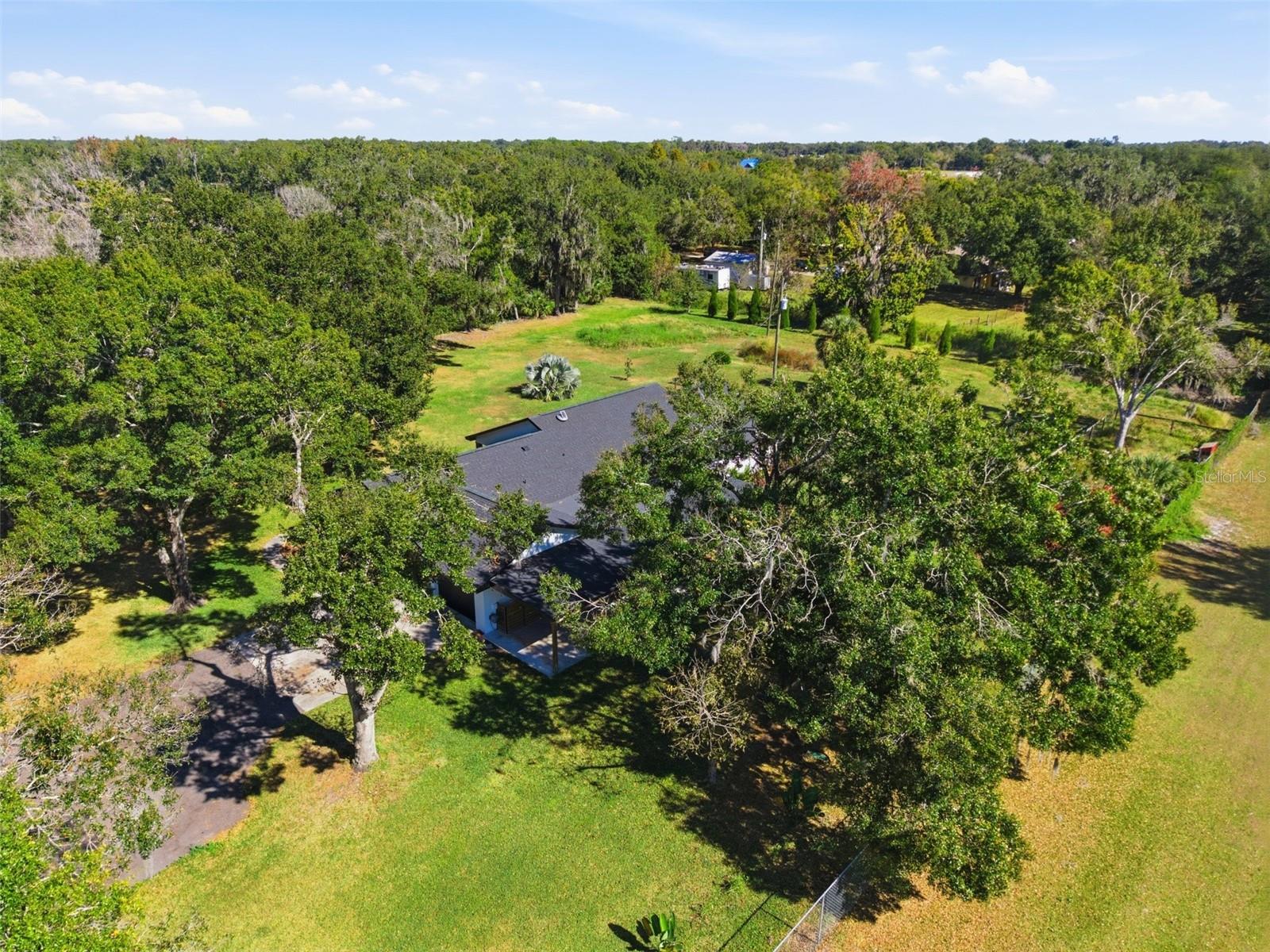 SINGLETON SURV FOR A MINOR - Residential