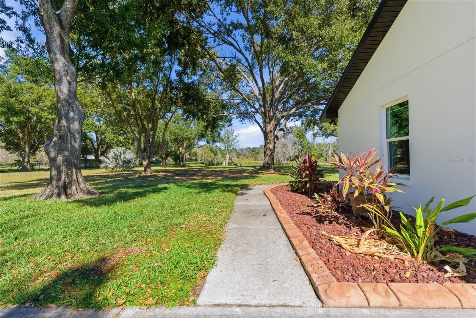 SINGLETON SURV FOR A MINOR - Residential