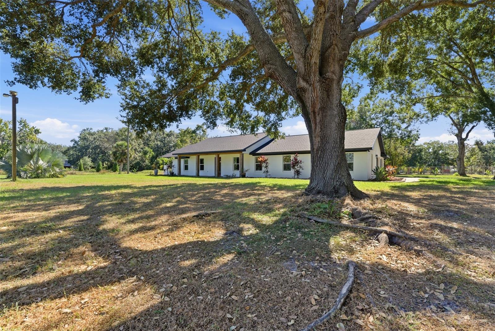 SINGLETON SURV FOR A MINOR - Residential