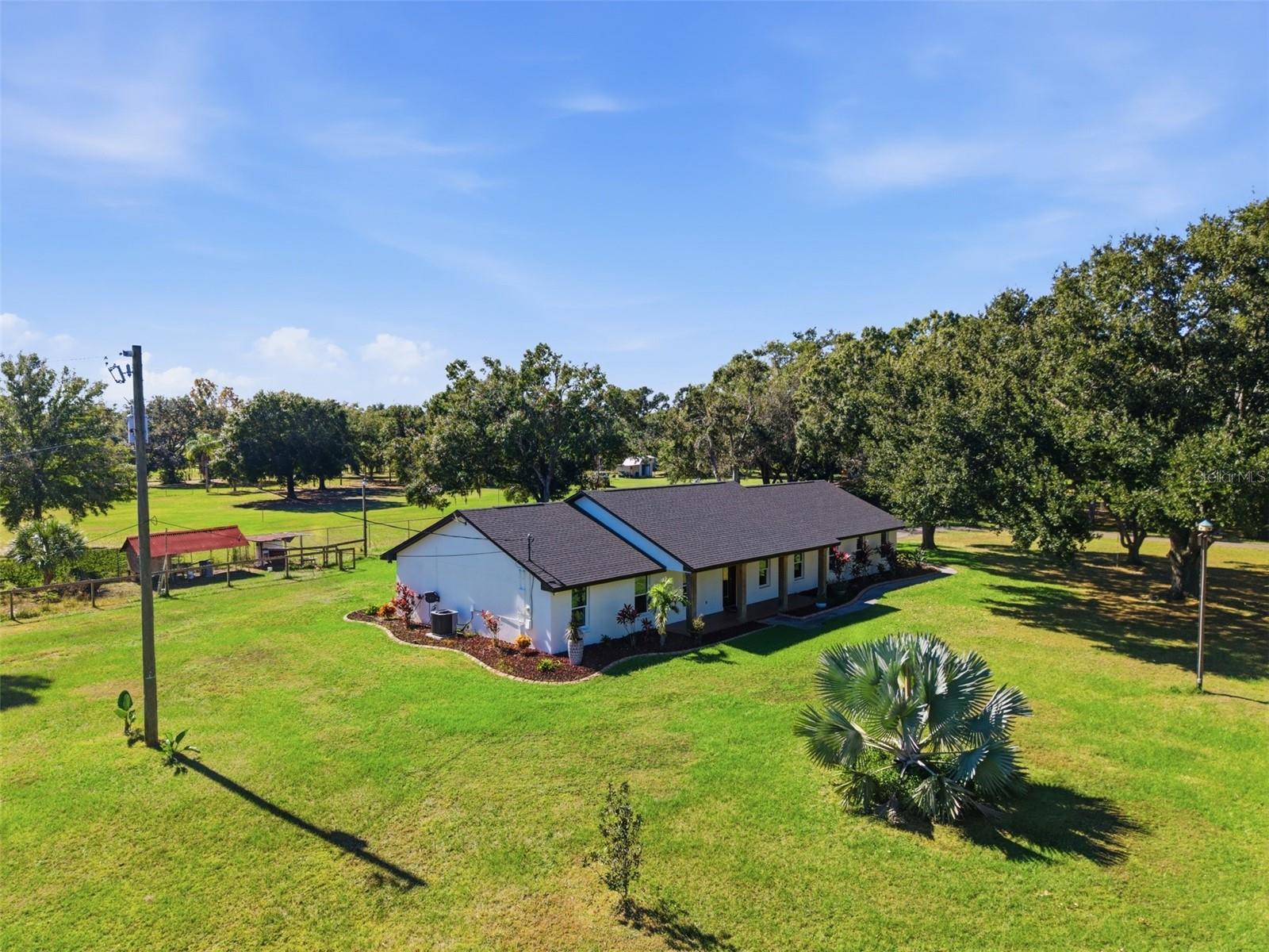 SINGLETON SURV FOR A MINOR - Residential