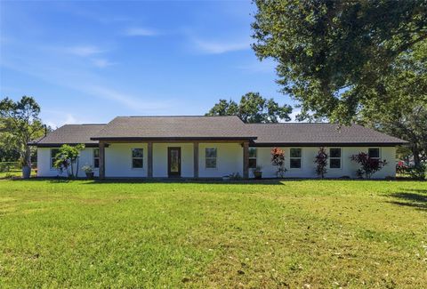 Photo of 2506 Hawk Griffin Road, Plant City, FL 33565 (MLS # TB8446950)