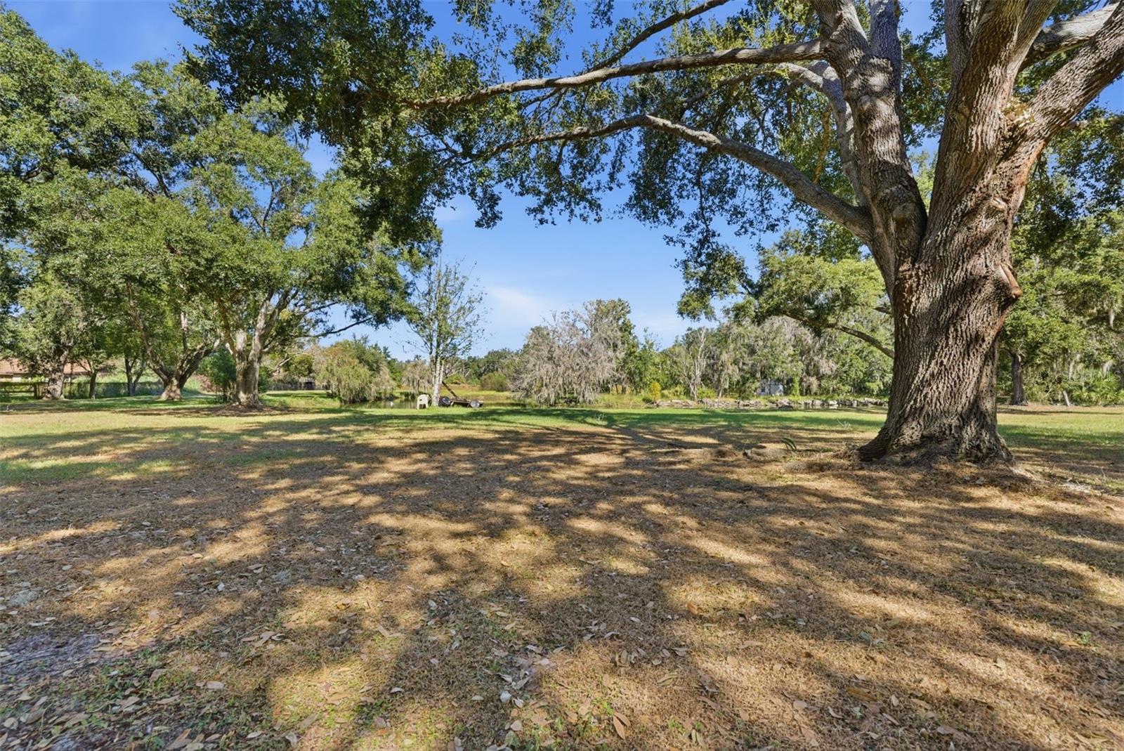 SINGLETON SURV FOR A MINOR - Residential