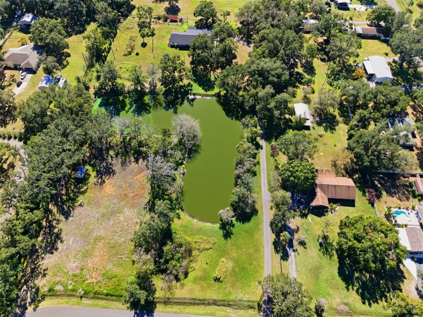 SINGLETON SURV FOR A MINOR - Residential