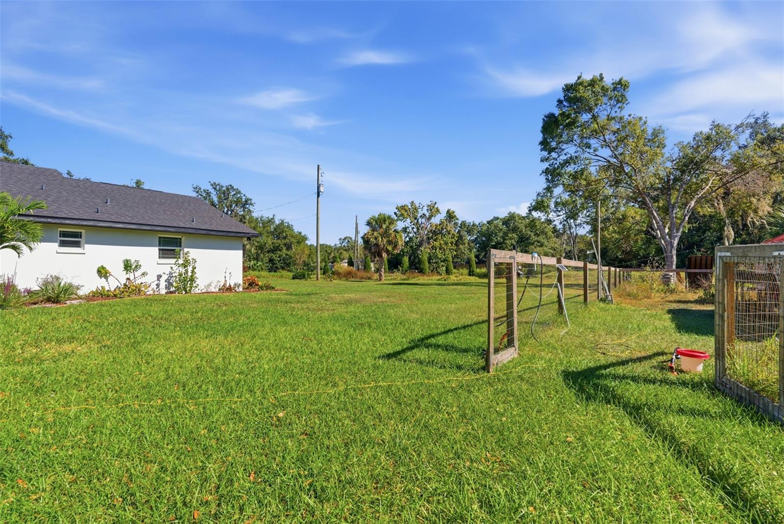 SINGLETON SURV FOR A MINOR - Residential