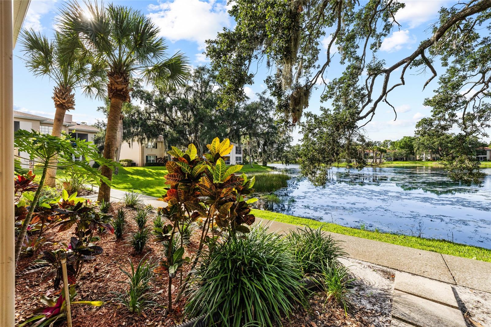 THE GRAND AT OLDE CARROLLWOOD - Residential