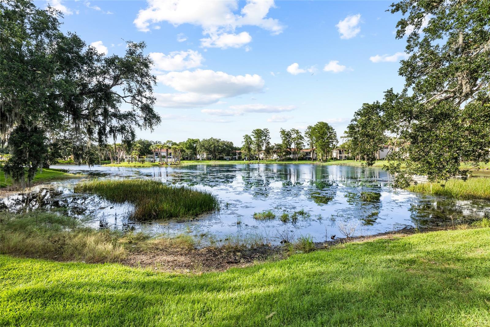 THE GRAND AT OLDE CARROLLWOOD - Residential