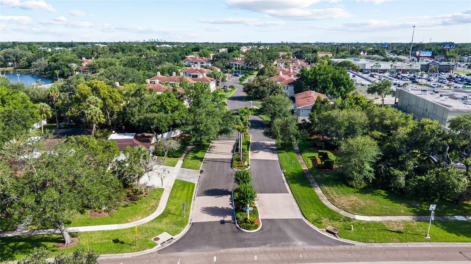 THE GRAND AT OLDE CARROLLWOOD - Residential