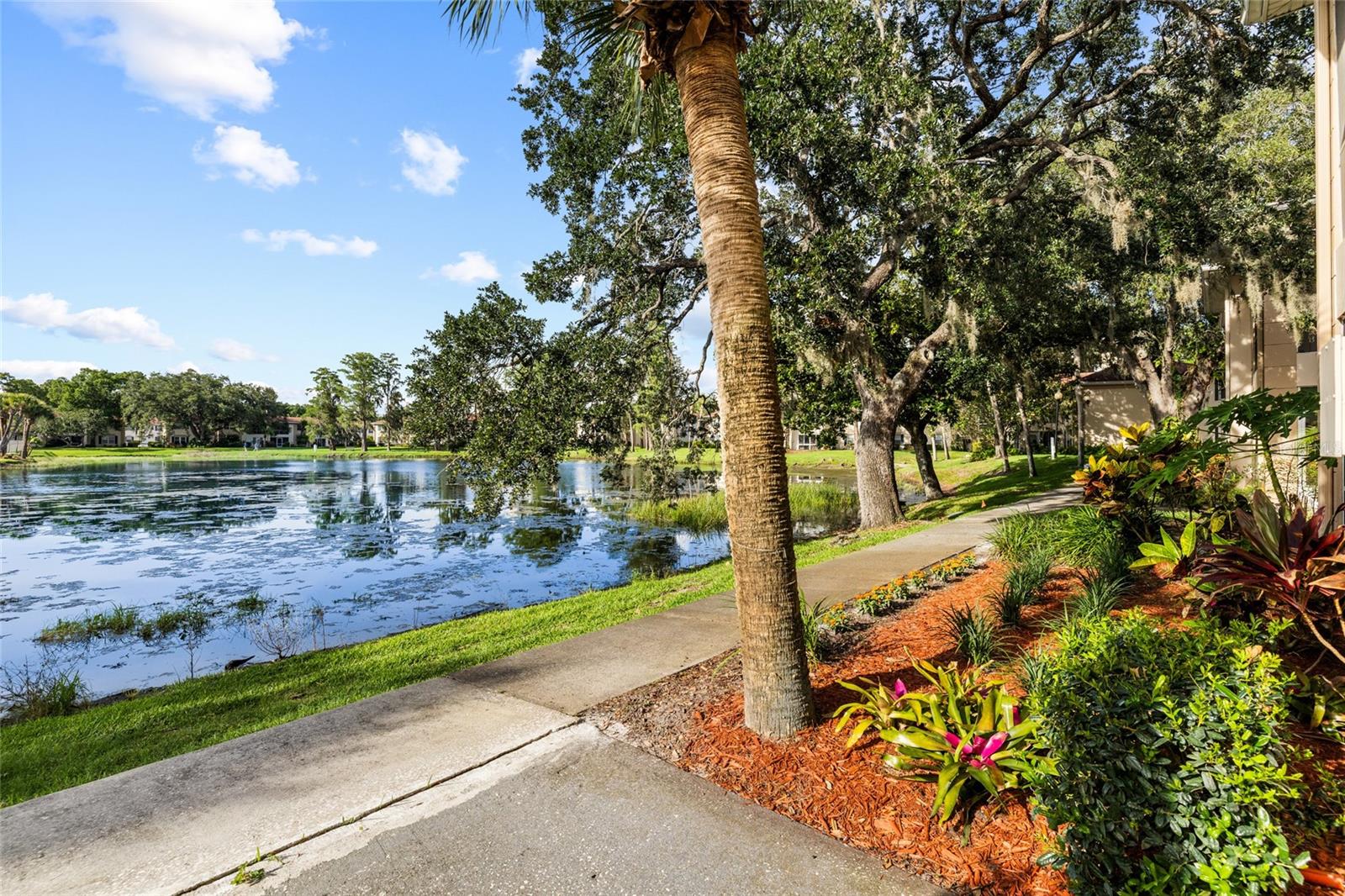 THE GRAND AT OLDE CARROLLWOOD - Residential